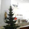 christbaumaufstellen 2017 31